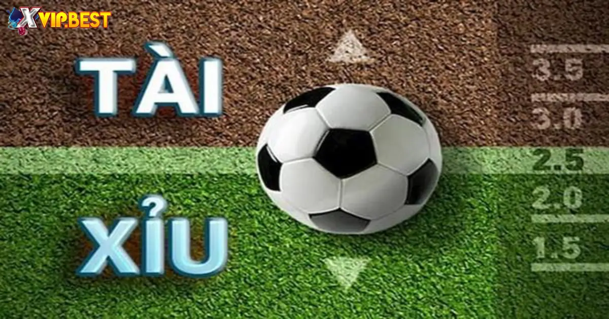 Cách tính tiền thắng/thua khi đặt kèo tài xỉu 0.5-1