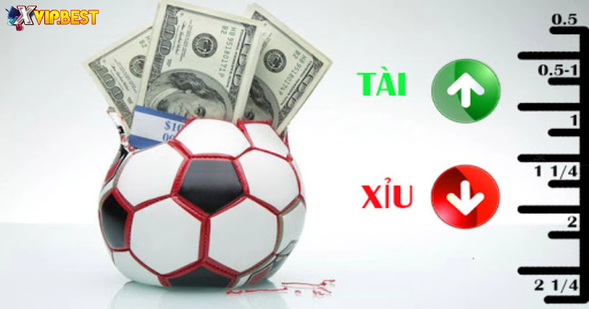 Kèo Tài Xỉu 3.5-4 Là Gì? Cách Đọc Kèo & Đặt Cược Tại XVIP 4 Đặt cược theo cảm giác