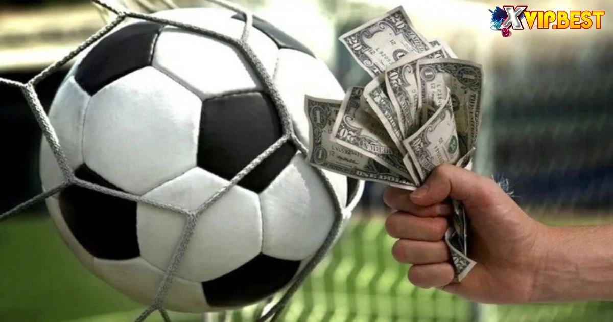 Kèo Việt Vị Hoạt Động Như Thế Nào?