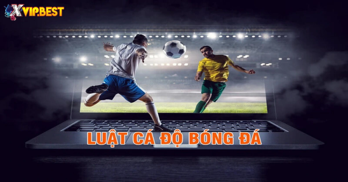 Luật Cá Độ Bóng Đá: Cách Chơi & Lưu Ý Quan Trọng Tại XVIP 2 Luật Cá Độ Bóng Đá Hoạt Động Như Thế Nào?