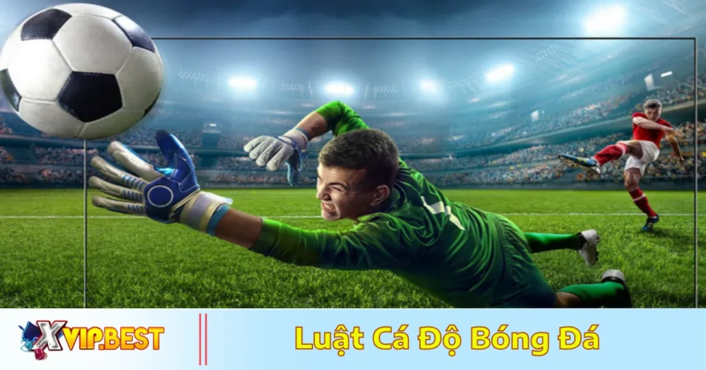 Luật Cá Độ Bóng Đá: Cách Chơi & Lưu Ý Quan Trọng Tại XVIP 8 Khi nào cược hợp lệ & khi nào cược bị hủy?