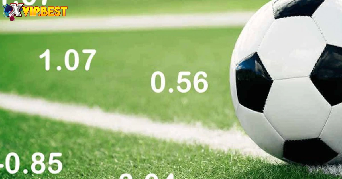 Khi nào nên theo dõi biến động odds trước khi đặt cược?