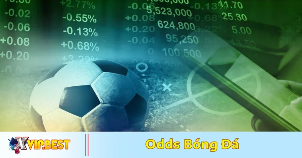 Sự khác biệt giữa odds châu Á, odds châu Âu và odds Mã Lai