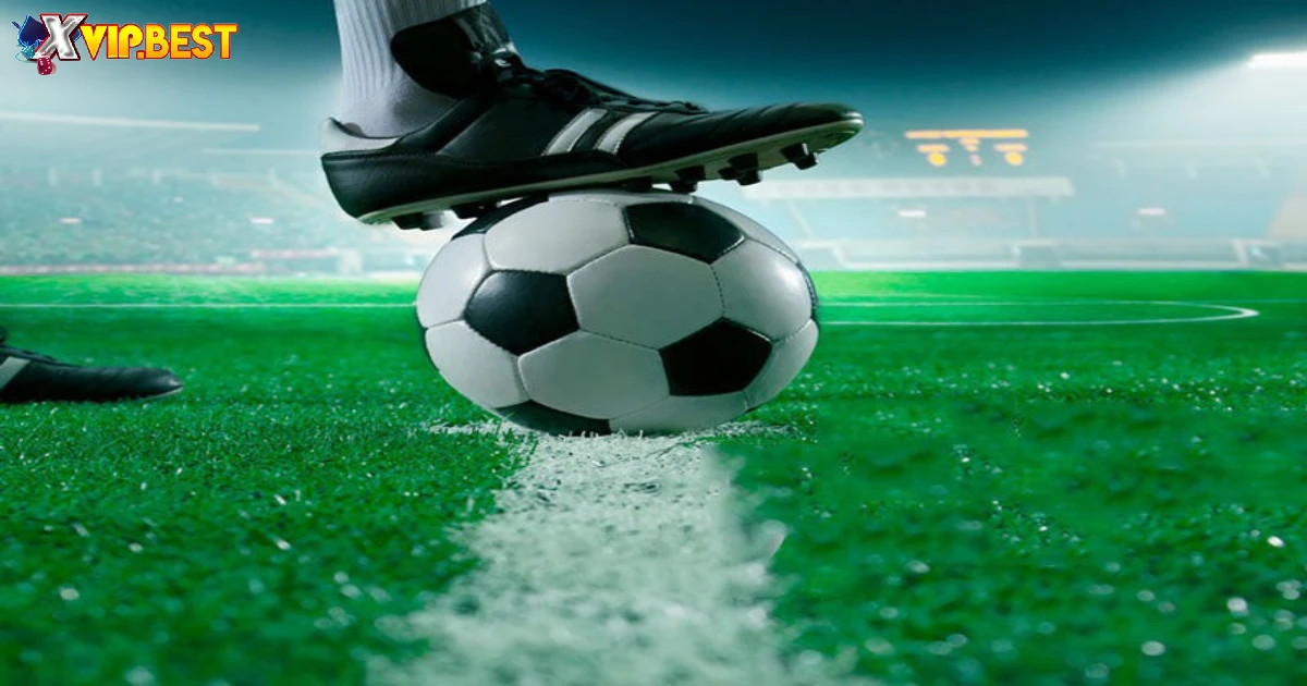 Odds Running Hoạt Động Như Thế Nào?