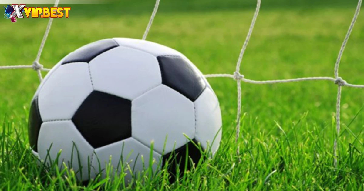 Over Là Gì Trong Bóng Đá? Đặt Cược Tài Hiệu Quả Tại XVIP 3 Phân Tích Tình Hình Trận Đấu