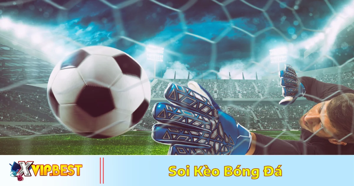 Công cụ hỗ trợ soi kèo